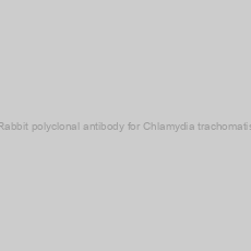 Image of Rabbit polyclonal antibody for Chlamydia trachomatis